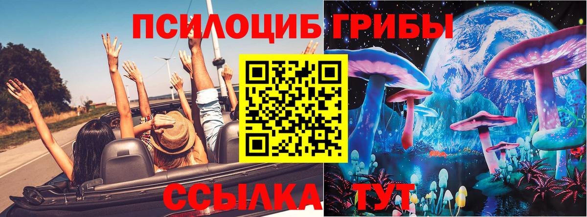 Псилоцибиновые грибы Psilocybe Геленджик