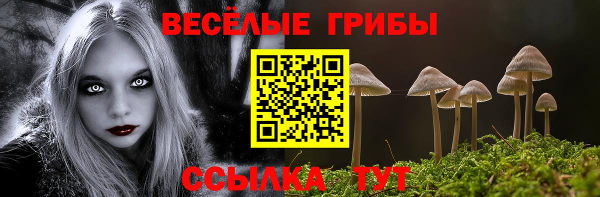 Псилоцибиновые грибы Psilocybe  Вход с VPN  Геленджик 